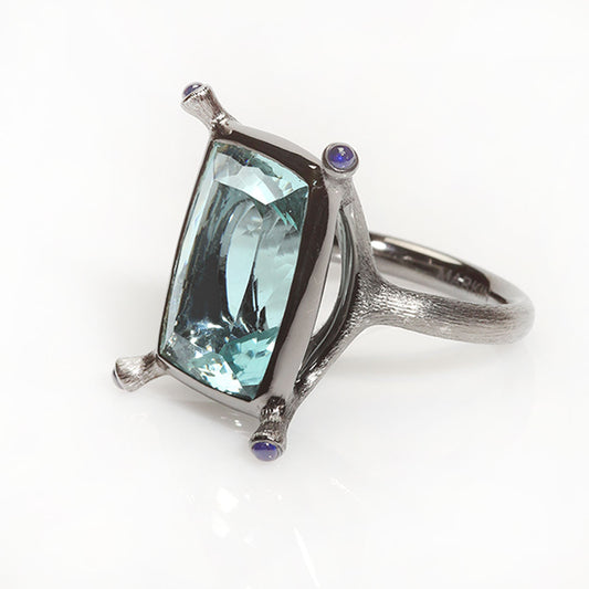 Aquamarine & Sapphire Escargot Black Gold Ring