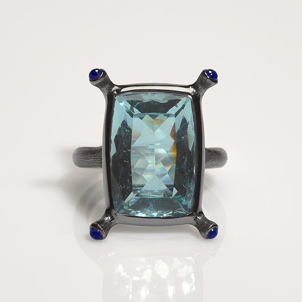 Aquamarine & Sapphire Black Gold Earrings